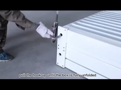 วิดีโอของ Grande